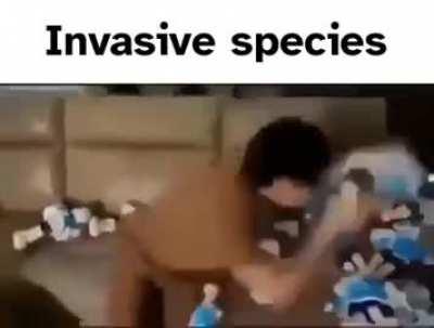 i do believe this belongs here