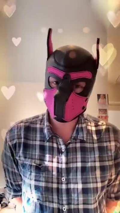 When the knockoff Umbrella cover isn’t the most cringe part of the tiktok 😬