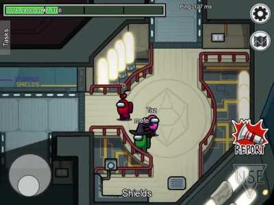 Shields was made for this