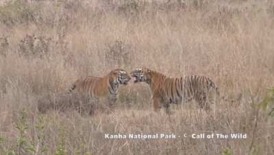 🔥Throwback to this iconic fight between Umarpani and Kingfisher🔥 