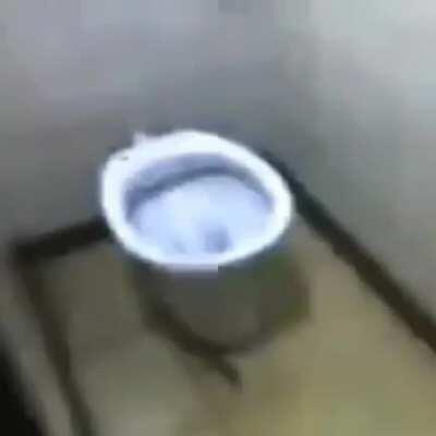 el inodoro que habla