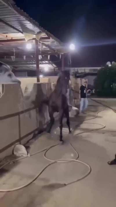 If you ain’t gang you can’t hang