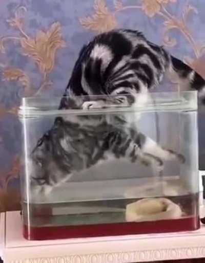 Mission (im)possible