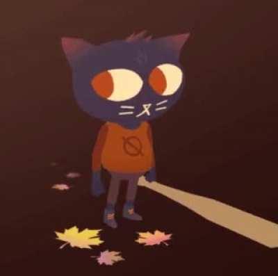 Someone lives in a small town too and relates a little too much to NITW?