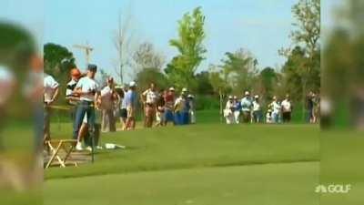 pro golfer injures spectators with consecutive shots