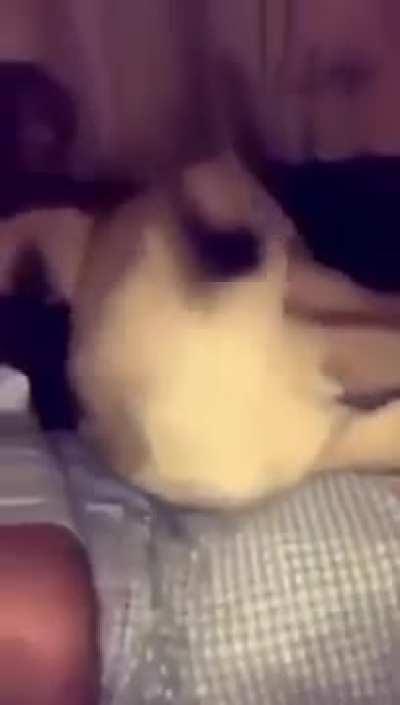 u_aidenthesnork - Video #5277