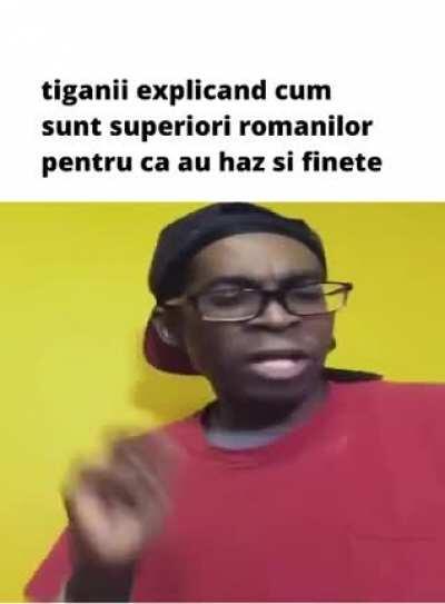 Tarabana criminala 2015 😍😍