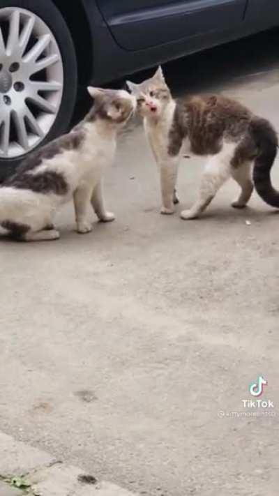 Oh hdnfjfbdjevd kkndvdbd dnkhh2$2$2!2!/!