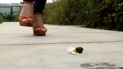 Goddess Scarlett ❤❤❤❤