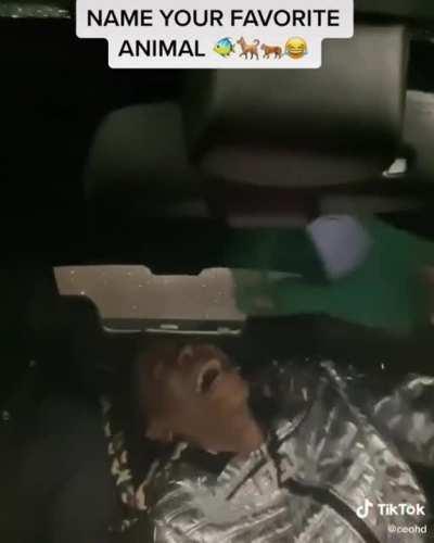 This cracked me up XD