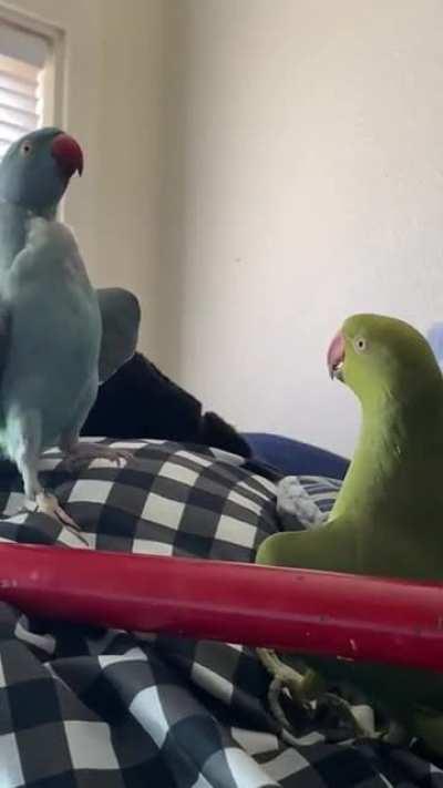 Their secret handshake