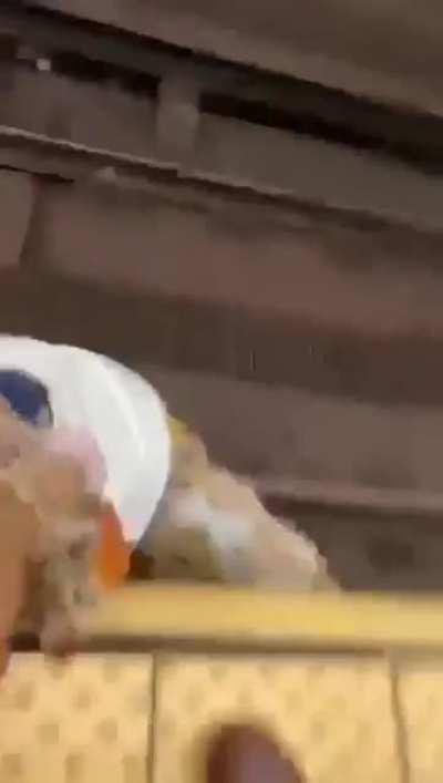 Roundhouse Kick to the Third Rail