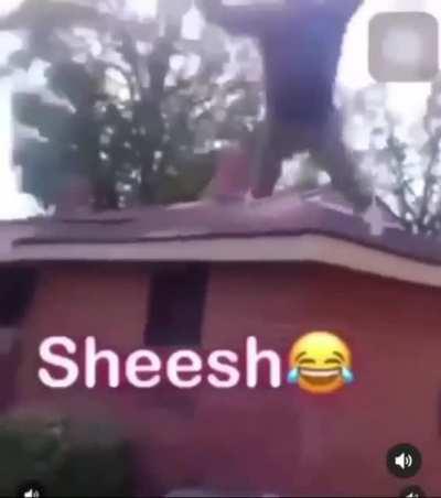 does anyone remember that one fail where a guy did the ALS ice bucket challenge then got kicked in the nuts?