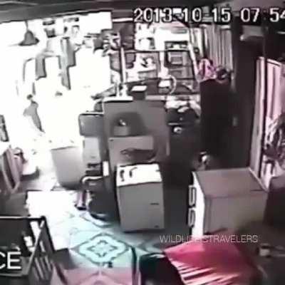 Dog come back for his friend during a earthquake.