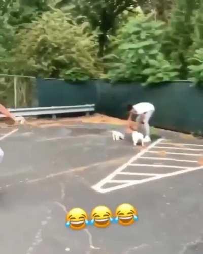 YB & Baby Joe Foolin 😂