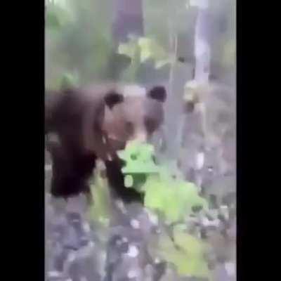 Don't start a fight you can't win