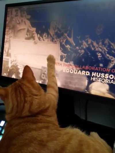 No more World War II documentaries for this orange boy ð±