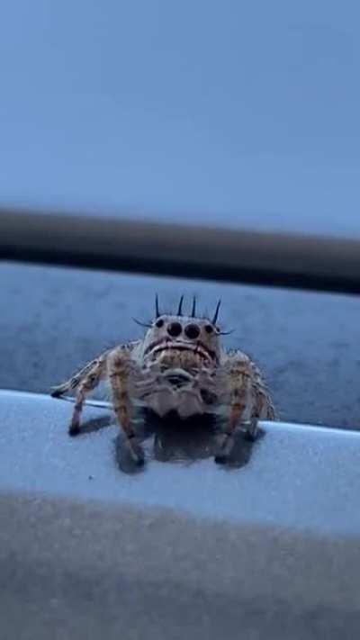 I knew it was going to happen, but I kept recording anyways