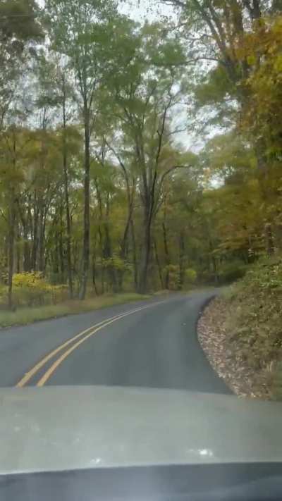 Vesuvius VA , on our way to stock trout at Campground at Montebello .  Always a fun Friday when we make this run.