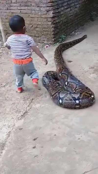 What the hell is going on here