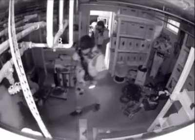 The Hide and Seek professional