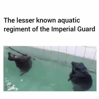 No need for a commisar for these badass troopers