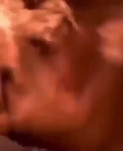 superpowers in real life