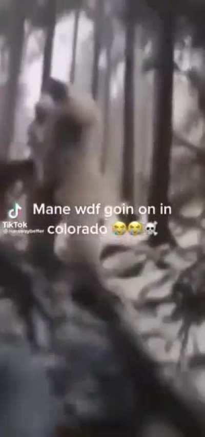 Colorado be busting tho