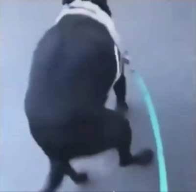 Well, he wants it very badly. 😅