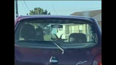 Meanwhile no centro de Portugal.....