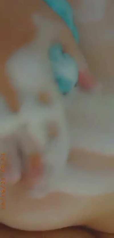 Polyslart surely accept us ftbz