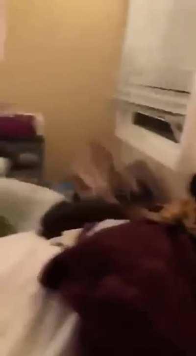 HMC while I tackle my friend