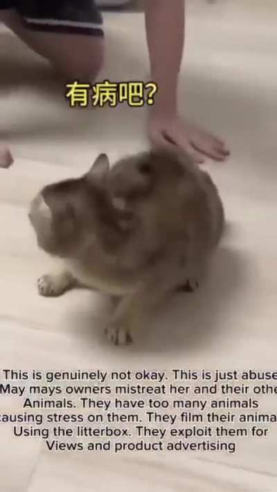 This is so devastating, please boycott their social media accounts!!