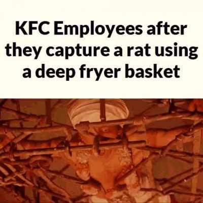 A sacrifice to please the deep fryer