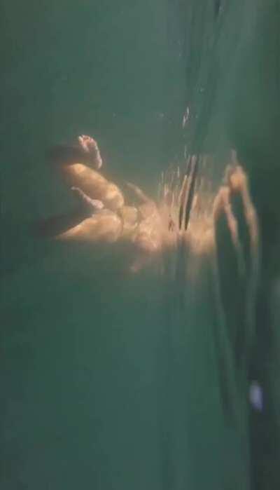 Ehh... sum to post (NSFW)