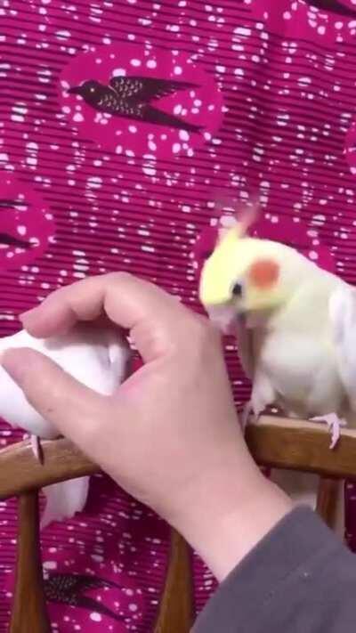 Rick and Ellen tried marriage therapy for their kids’ sake, but they were obviously speaking two different languages. Court-appointed mediation didn’t go much better.