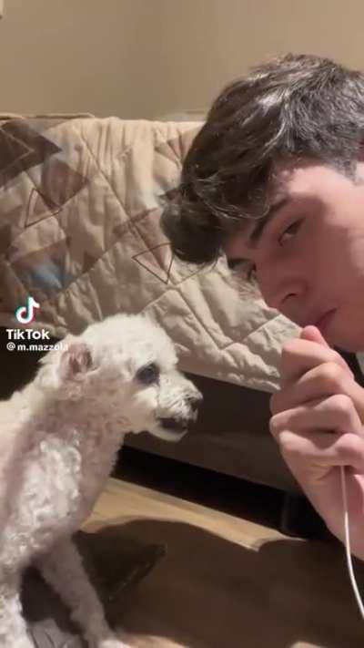 lula vc nos prometeu 😾