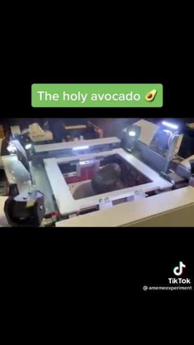 The Holy Avocado. Can be consumed to restore 100% health. Good on toast