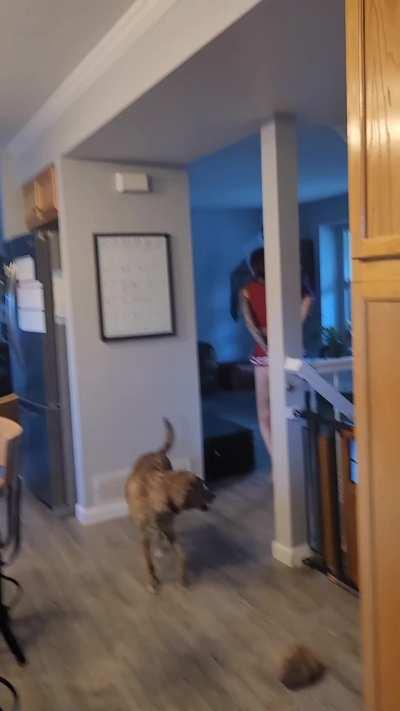 2 bimbos getting their outfits ready for taking on 22 guys tomorrow