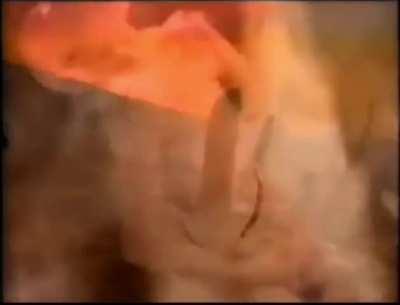 CONAF anti-wildfire campaign (Chile 1994) 