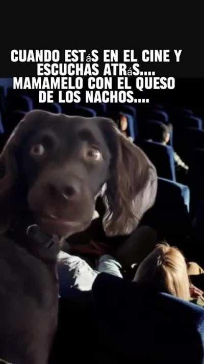 Ave María yo no quería 