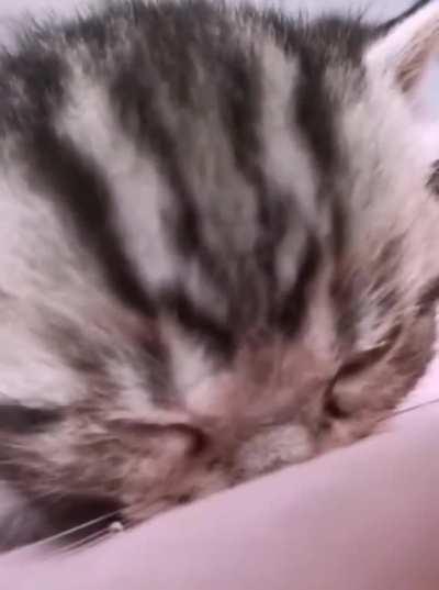 Feeling the *B I G S A D*