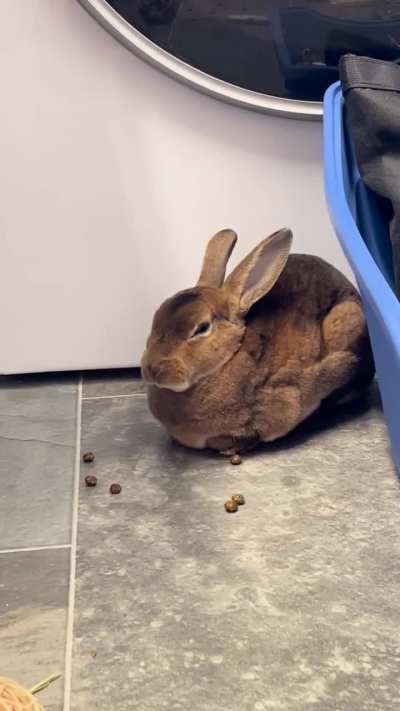 What is this movement/noise? Is he okay?