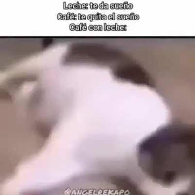 BeelcitosMemes - Video #2877