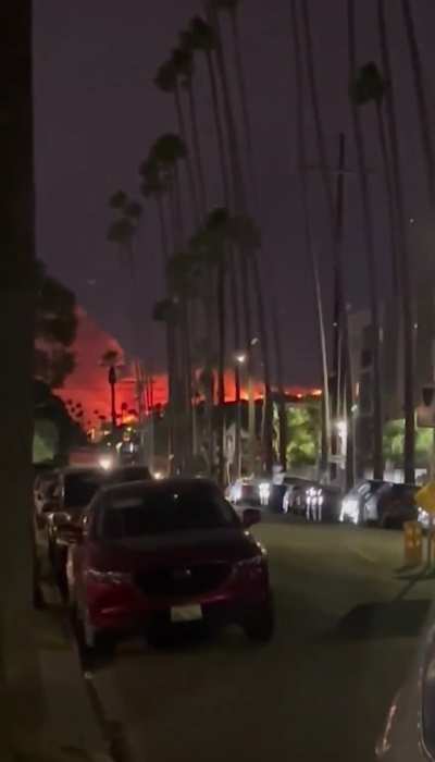 Hollywood Hills now reportedly on fire