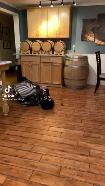 HMPT While i play the thing