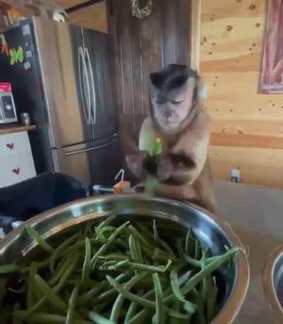 His face when he snap it