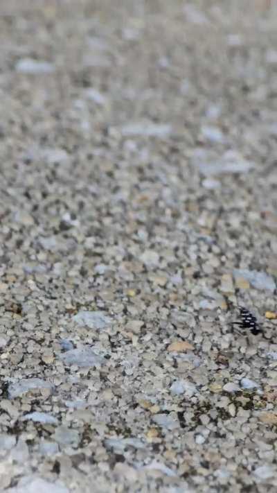 Is this what I think it is?