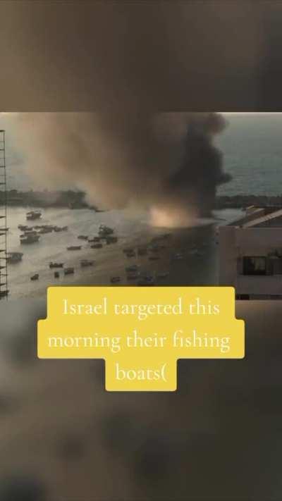 After seeing footage of Palestinians catching fish to survive, israel targeted their fishing boats