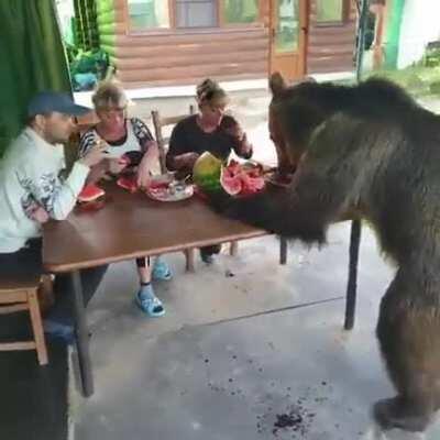 Typical Russian dinner